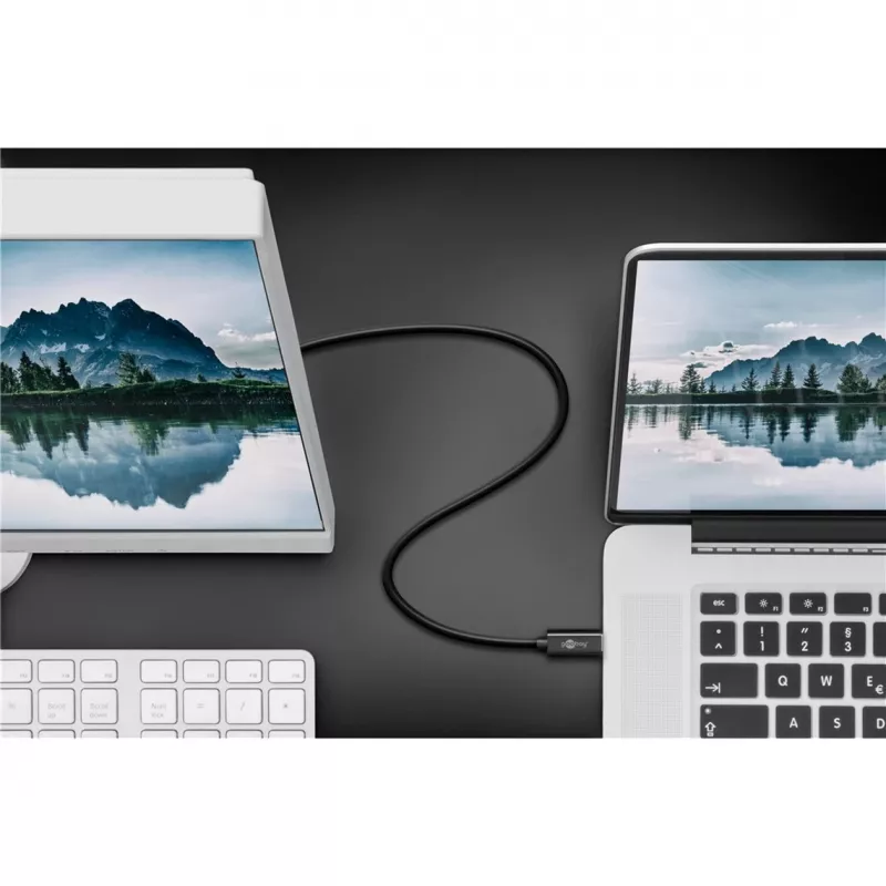 Goobay USB-C a DisplayPort. M/M. Nero