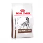 ROYAL CANIN Gastrointestinal - Crocchette per cani - 2 kg