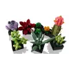 Lego Icons 10309 Piante grasse