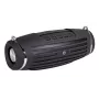 Altoparlante portatile Manta SPK14GO BT nero
