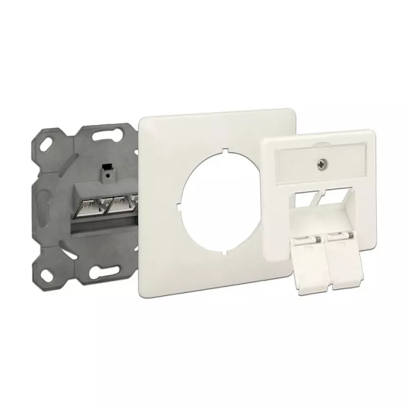 Presa di rete RJ-45 DeLOCK 86195