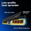 16 GB Crucial Pro modulo - DIMM 288-PIN Low Profile - 6000 MHz / PC5-48000 - CL48 - 1.1 V - unbuffered - on-die ECC - nero opaco