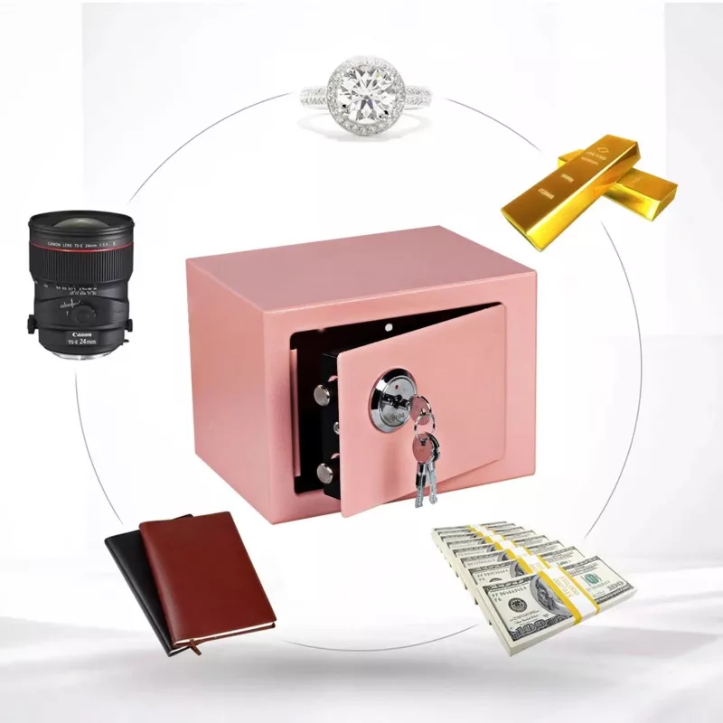 Extralink Home | Cassaforte per casa | Ufficio, portachiavi, cassaforte di sicurezza, rosa, S-404