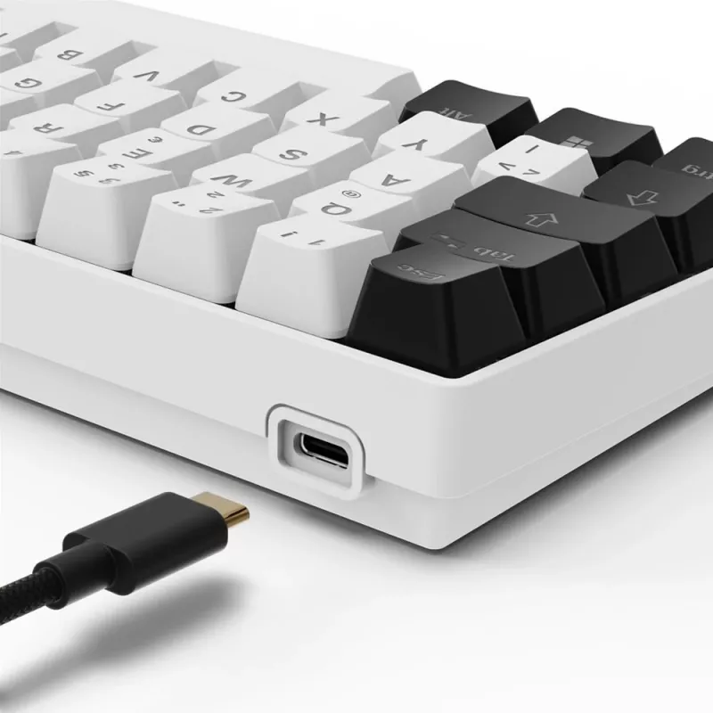 Sharkoon SGK50 S4 tastiera Home USB QWERTZ tedesco bianco RGB LED 60%