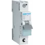 Hager MCS120 interruttore automatico tipo C 1 polo 1 unità modulare (MCS120)