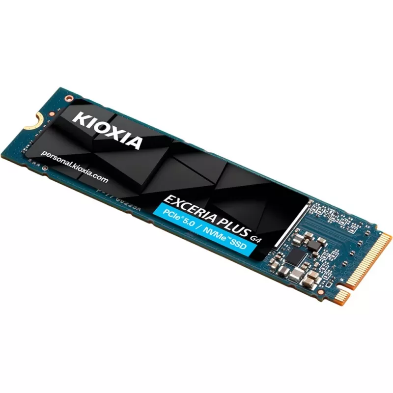 Kioxia LVD10Z002TG8 unità a stato solido interna 2 TB M.2 PCI Express 5