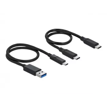 Delock M.2 docking station - adattatore di interfaccia - scheda M.2 NVMe - USB 3.2 (Gen 2) - argento