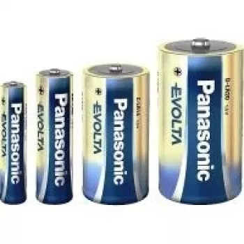 Panasonic Evolta Platinum LR20EE/2BP - batteria 2 x D alcalina (LR20EGE/2BP)