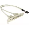Staffa slot 1x USB 5 pin interno su 2x USB 2.0 esterno DeLOCK 71000