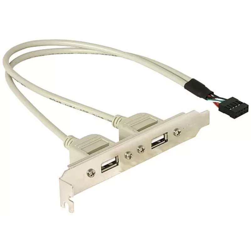 Staffa slot 1x USB 5 pin interno su 2x USB 2.0 esterno DeLOCK 71000