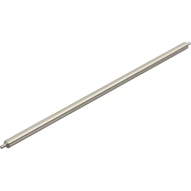 Ricoh AE042029 (AE04-2029) RULLO DI PULIZIA FISSAGGIO
