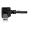 StarTech.com USBAB2MR cavo USB 2.0 da A a B ad angolo retto, maschio/maschio, 2 m, nero
