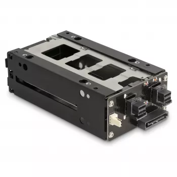 Delock - Rack di memoria mobile - vano sottile - da 5,25 a 2 x 2,5 (da 13,3 cm a 2 x 6,4 cm) - nero (47019)