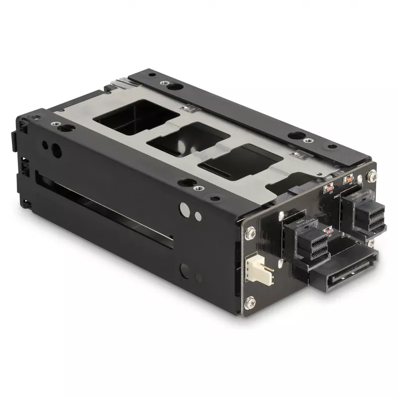 Delock - Rack di memoria mobile - vano sottile - da 5,25 a 2 x 2,5 (da 13,3 cm a 2 x 6,4 cm) - nero (47019)