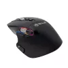 Mouse wireless Tellur TLL491261 USB