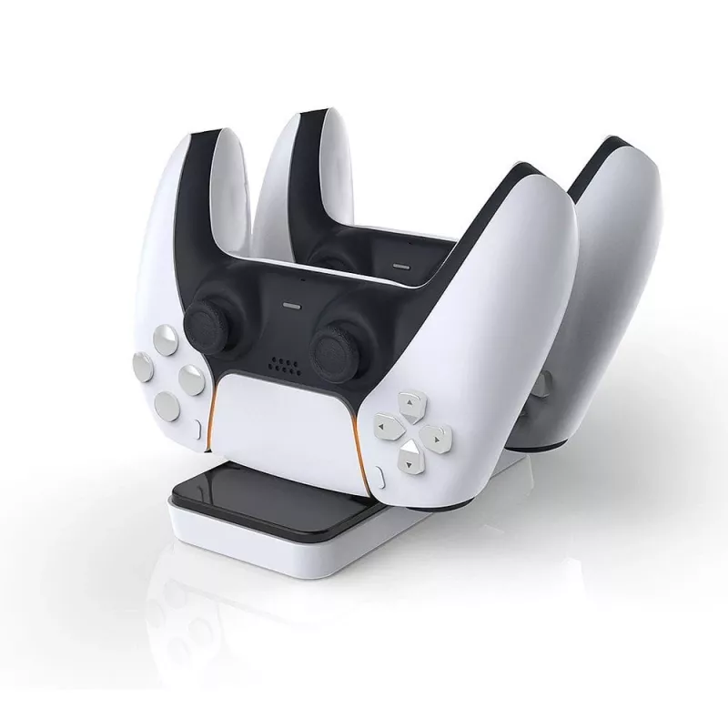 Raptor CS200-LT, interno, USB, nero, bianco