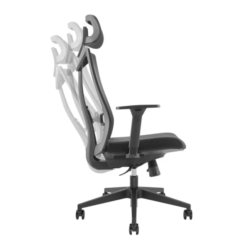 Sedia ergonomica premium Ergo Officer ER-414