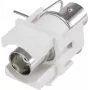 Renkforce modulo da incasso BNC Keystone RF-KS-BNC (RF-3434002)