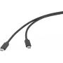 Renkforce Cavo USB USB 3.2 Gen2x2 20 Gbit/s USB-C connettore maschio connettore maschio nero 4K (RF-6830468)