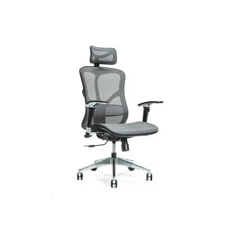 Sedia da ufficio ergonomica ERGO 500 grigio