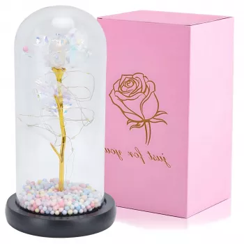 Rosa eterna in vetro Extralink Home, luce LED bianca