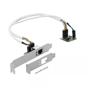 DeLOCK Mini PCIe I/O PCIe half size 1 x Gigabit LAN Low Profile - adattatore di rete - PCIe Half Mini Card - Gigabit Ethernet x 1 (95265)