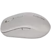 CANYON mouse MW-12 dualband wireless grigio