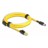 Cavo Delock connettore maschio RJ45 Cat.6 su Mini I/O 8 Pin D-Form Tipo 2 2 m (81251)
