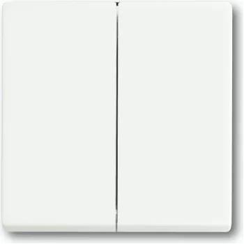 BUSCH JAEGER 1751-0-3024 - tasti - bianco - plastica - 63 mm - 63 mm - 1 pz.