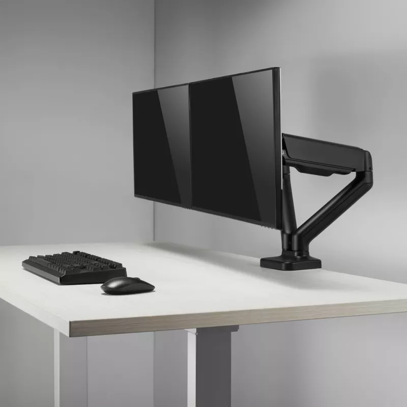 Supporto da scrivania Sbox LCD-S024-2 (17-32/2x2-9kg/100x100)
