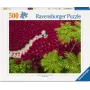 Puzzle Ravensburger Ein Meer aus Rot — 500 pezzi, arte, dai 12 anni