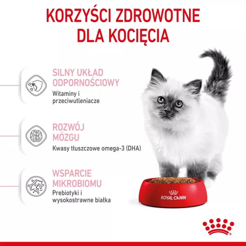 Royal Canin Kitten cibo secco per gatti 2 kg