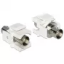 Modulo Keystone DeLOCK 86301