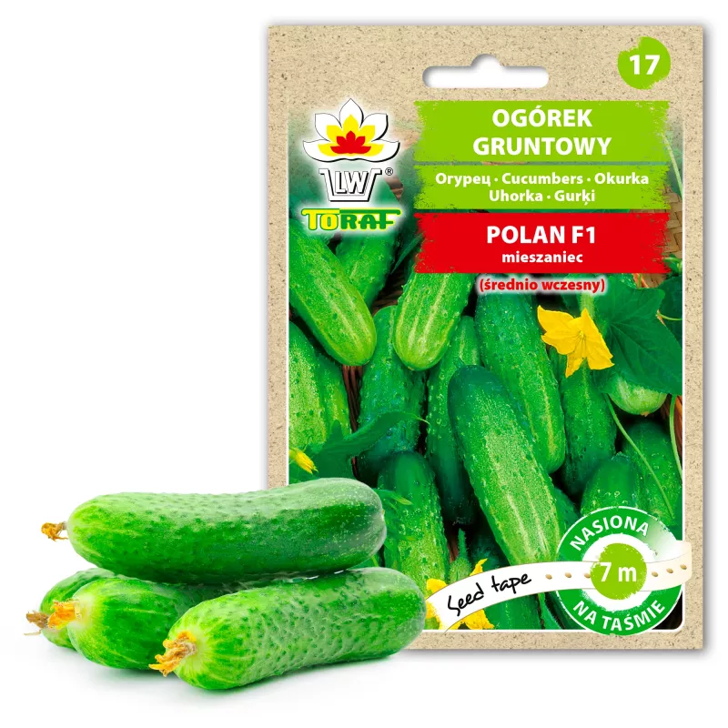 Semi di cetriolo Polan F1 PNOS su nastro, nastro da 6 m