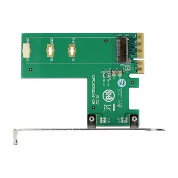 Scheda di interfaccia DeLOCK 89561