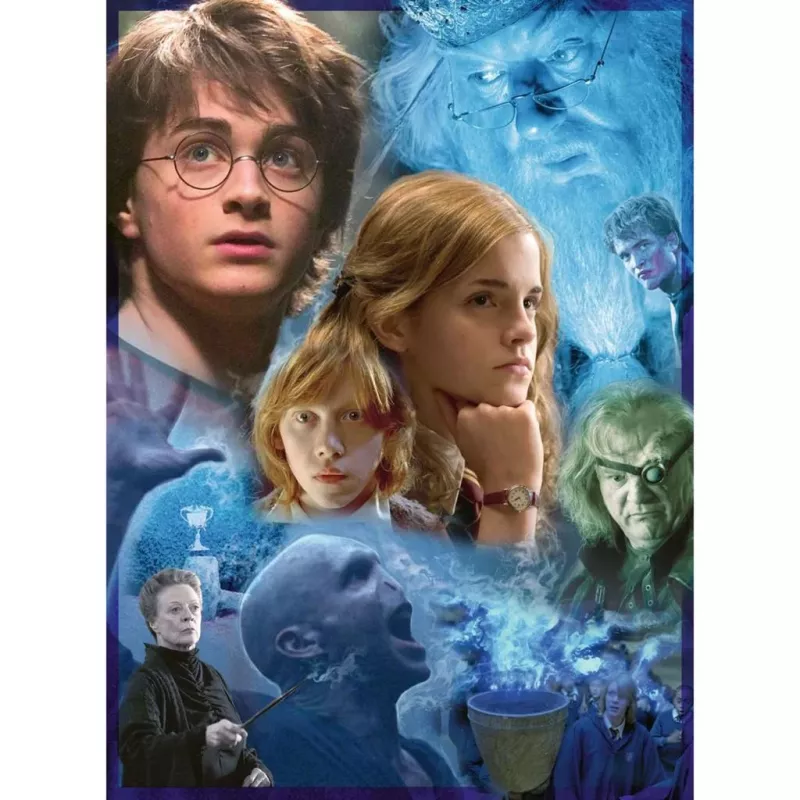 Puzzle Harry Potter a Hogwarts (500 pezzi)