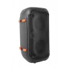 Esperanza EP156 BT FM LED RGB diffusore KARAOKE nero 20W