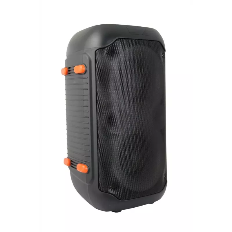 Esperanza EP156 BT FM LED RGB diffusore KARAOKE nero 20W