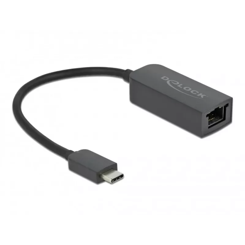 Adattatore USB Type-C maschio a LAN 2,5 Gigabit compatto DeLOCK 66645