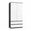 Armadio top e shop MALWA SS-90, 90×180×50 cm, telaio antracite, ante battenti bianche, 2 cassetti, laminato 16 mm