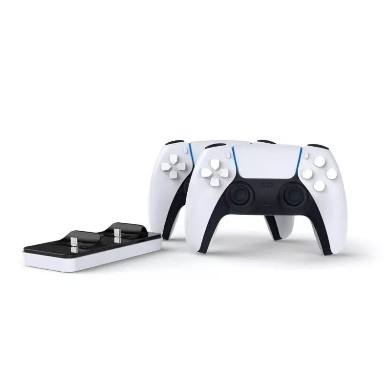 Raptor CS200-LT, interno, USB, nero, bianco