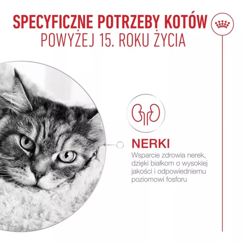 ROYAL CANIN Ageing 15+ crocchette per gatti – 4 kg