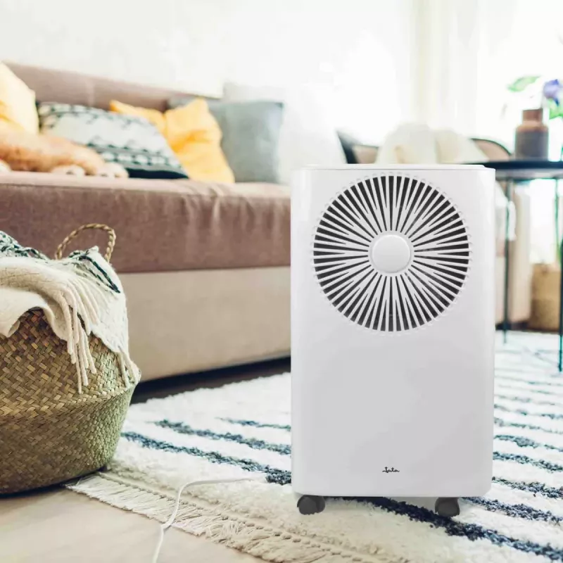 Deumidificatore Jata JEHU2413 2 L 210 W 42 dB 230 V bianco 270×205×408 mm
