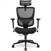 Sedia da ufficio Sharkoon OfficePal C40 — nero, design ergonomico, regolabile in altezza