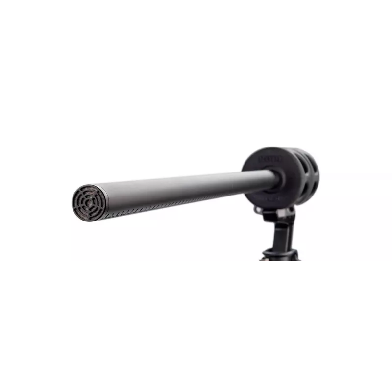 Microfono RØDE NTG8