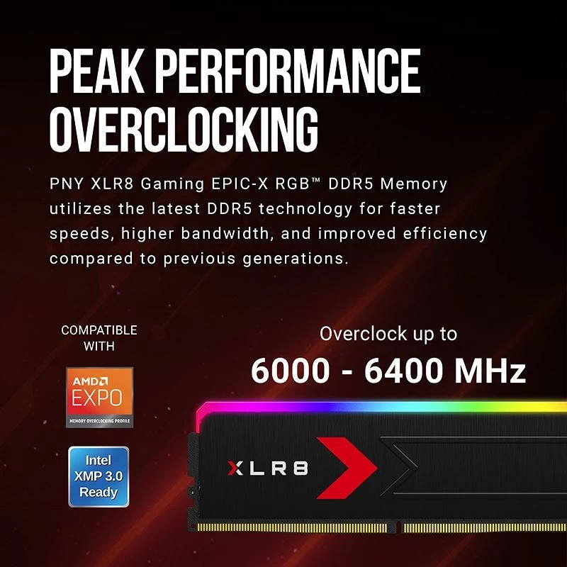 Memoria PNY DDR5 32GB 5600 BULK