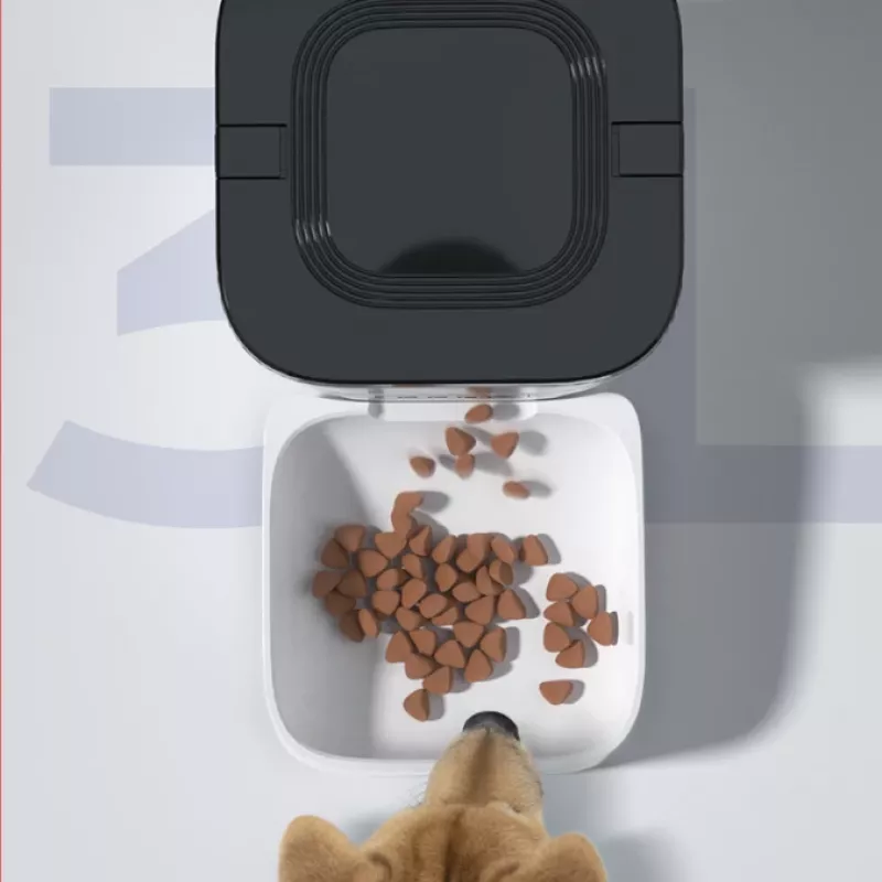 SPONGE distributore automatico di cibo per animali domestici – 3 l