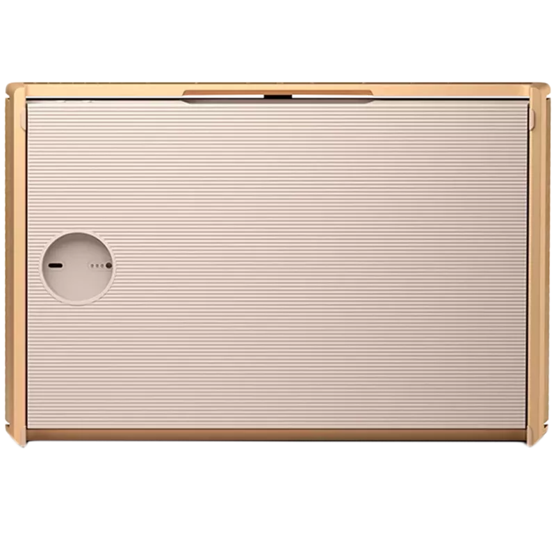 Beosound Level diffusore Gold Tone Alu (copertura Light Oak)