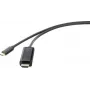 Adattatore per cavi Renkforce RF-4531590 USB-C HDMI nero (RF-4531590)