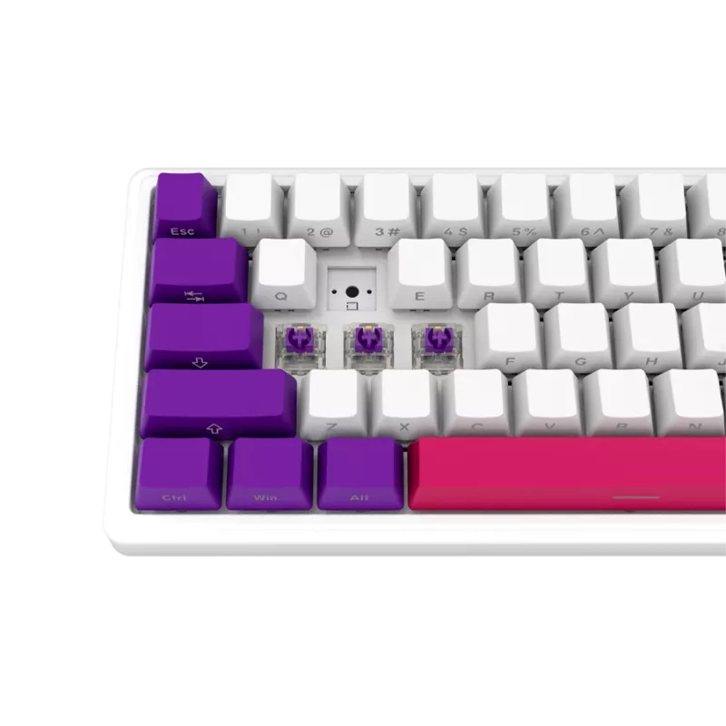 LORGAR KBP70MW, tastiera da gaming meccanica wireless 65% Pro, bianco, layout EN